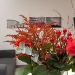 Le Rouge, Centre Ville, Quartier Historique 公寓 图尔奈