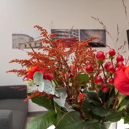 Le Rouge, Centre Ville, Quartier Historique Apartment Tournai